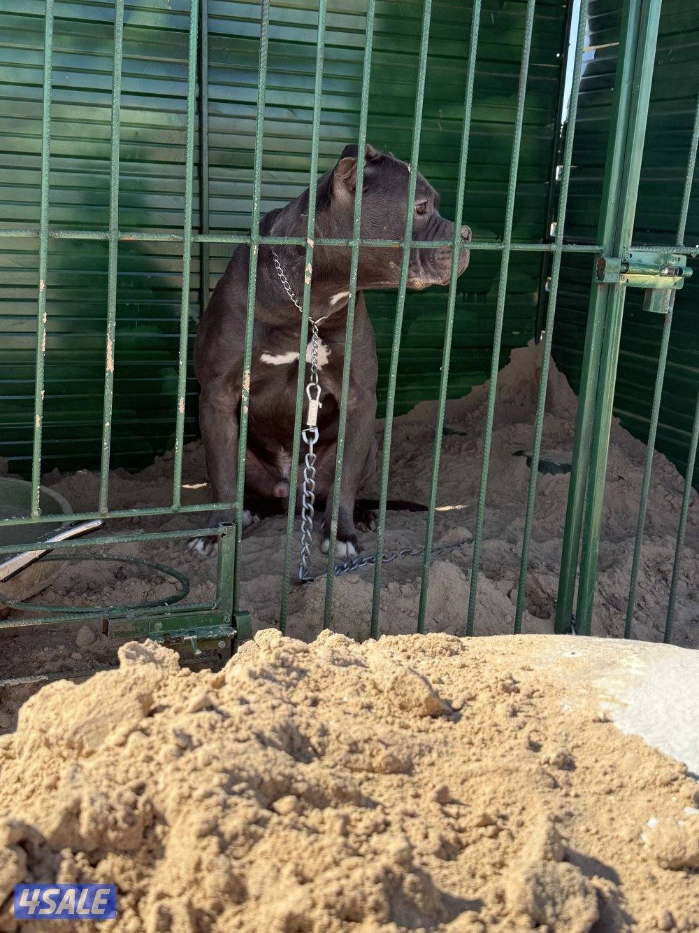 للبيع بتبول5