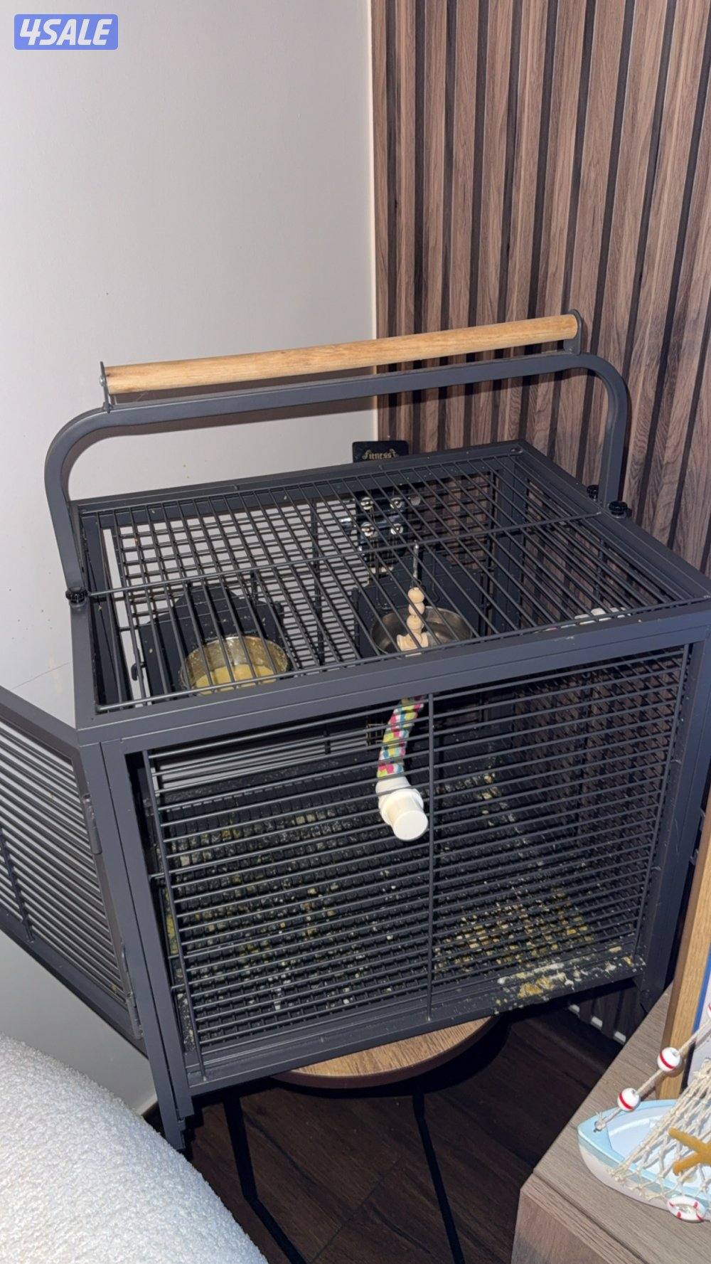 للبيع لوري العمر ٦ شهور ياكل بروحه وايد اليف ولزقه وكلشي موجود بالفيد2