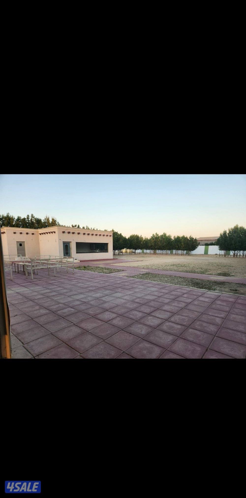 مزرعه للبيع بالوفره طريق 6002