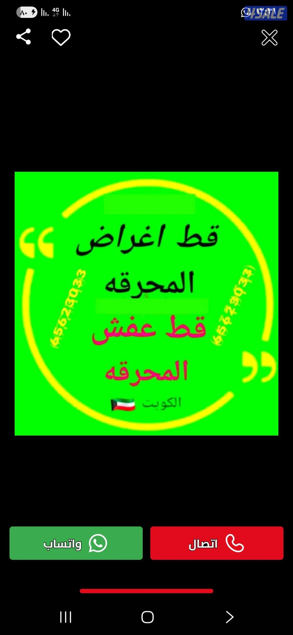 قط اغراض  قط اغراض  قط اغراض  قط اغراض  قط اغراض للمحرقه0