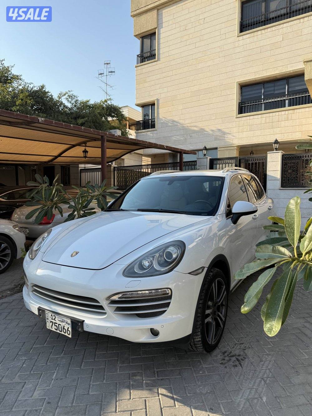 للبيع كايين دايموند ايديشن1