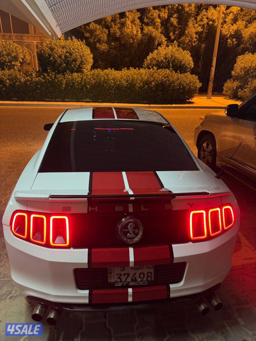 موستنق 2010مجدد 2014 ومحول شلبي الموتر نظيف شاصي جيد5