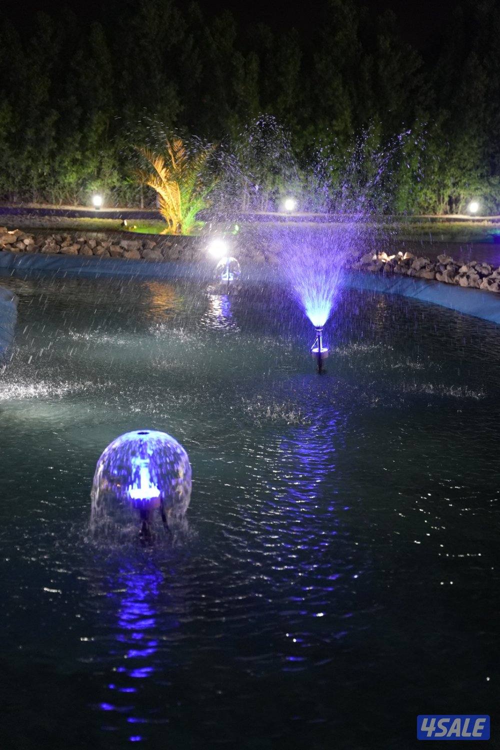 مزرعه الدانه للعائلات3