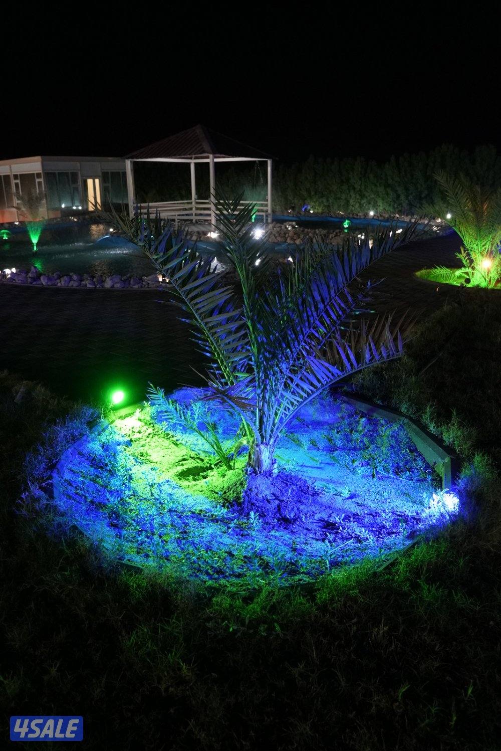 مزرعه الدانه للعائلات13