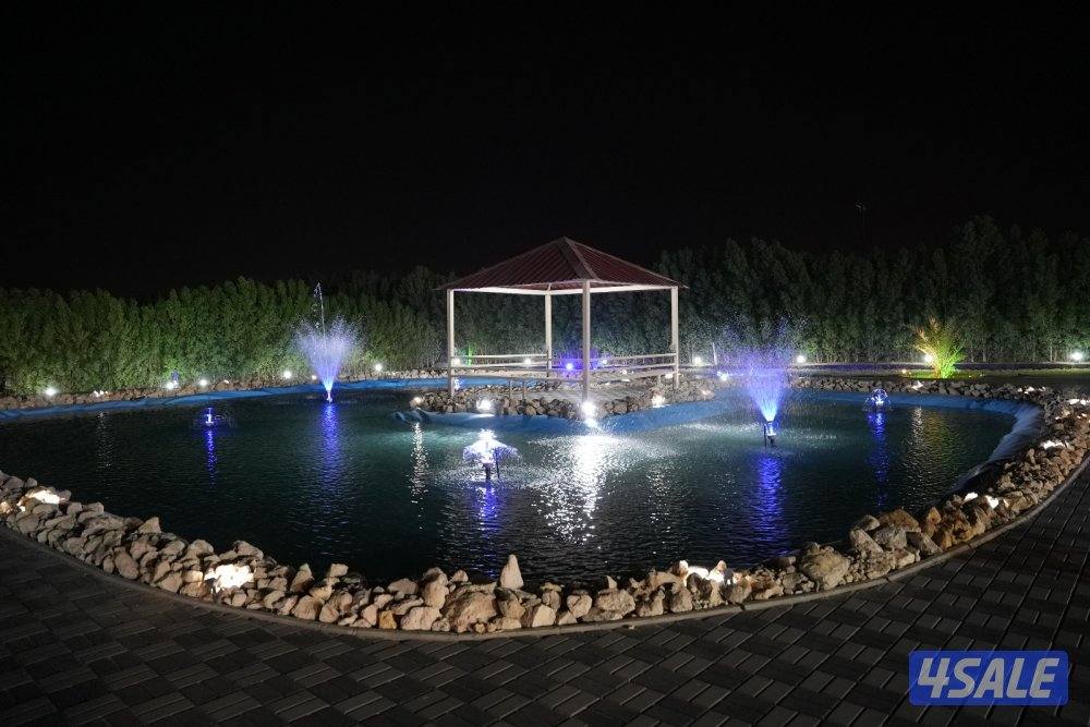 مزرعه الدانه للعائلات14