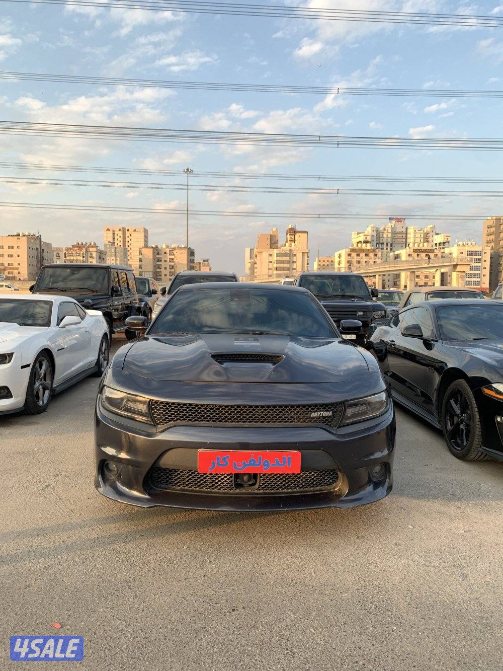 دووج شارجر0