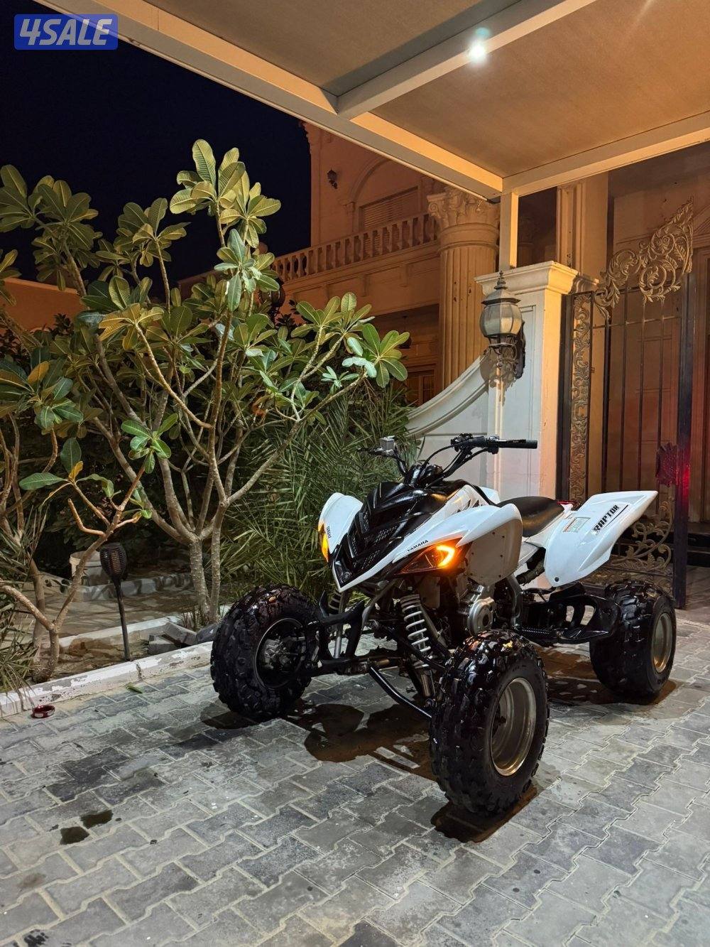 للبيع رابتر0