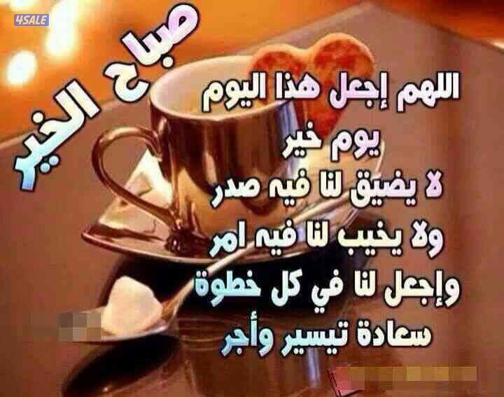 شاب مصري لدي رخصة عامة معرفة بجميع مناطق الكويت ابحث عن عمل مناسب0