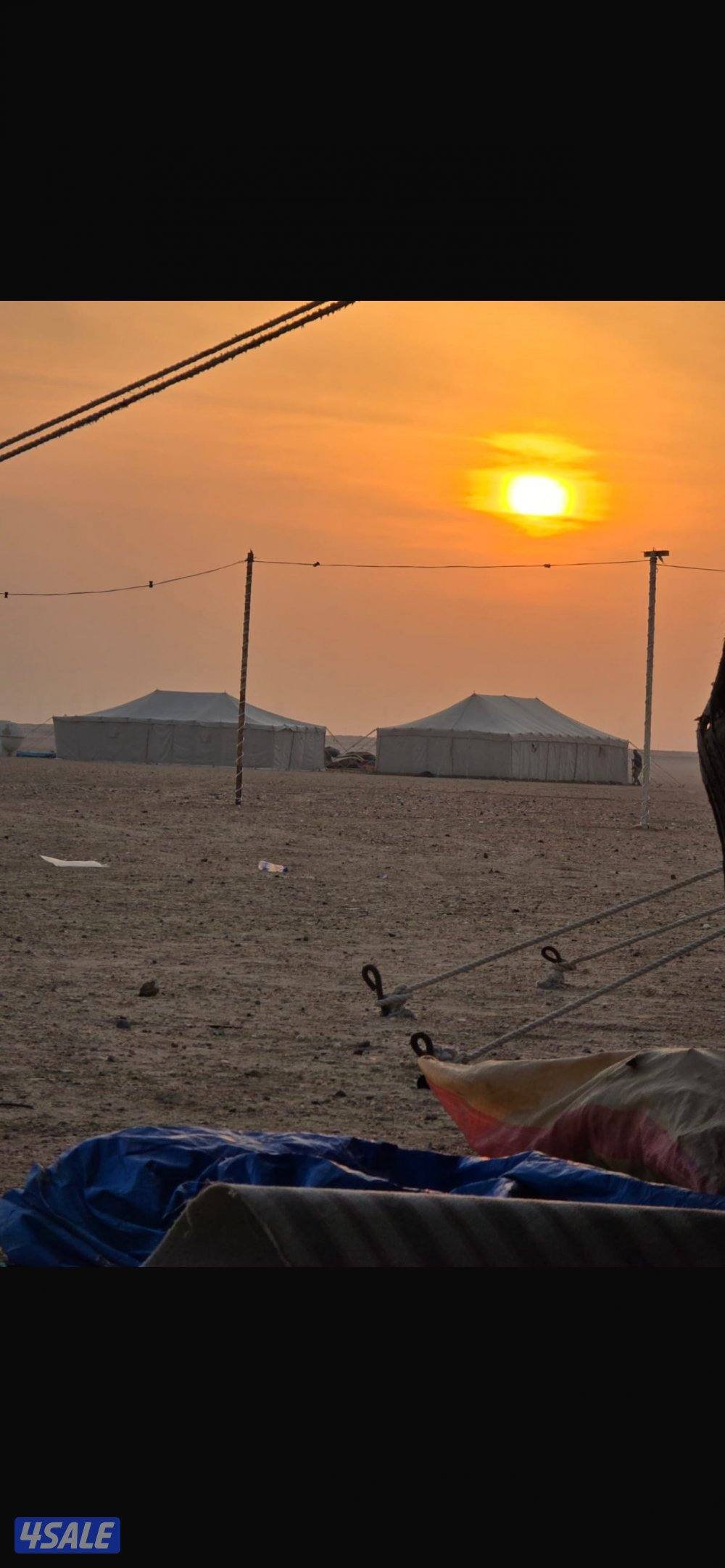 للبيع عدد 2 خيمة مع الفرش والأثاث2