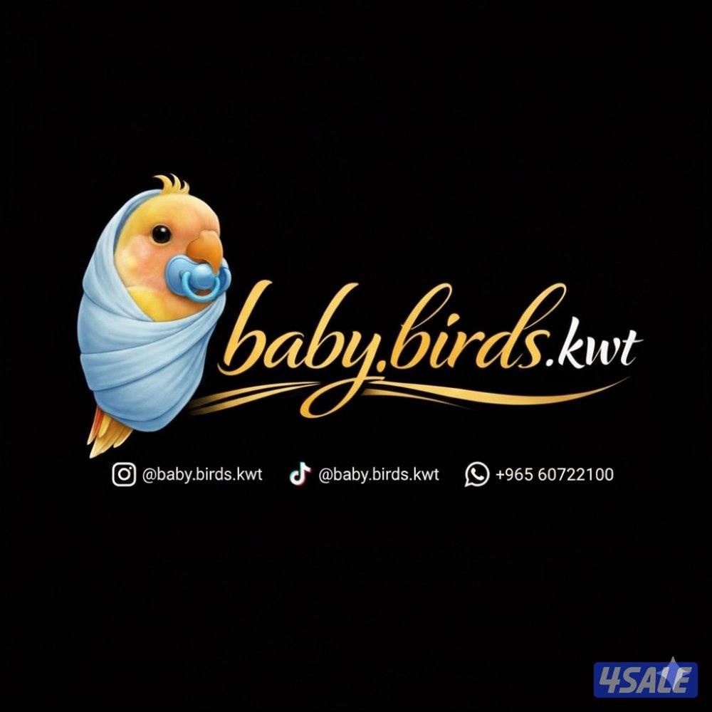 فروخ لوفبيرد عس0