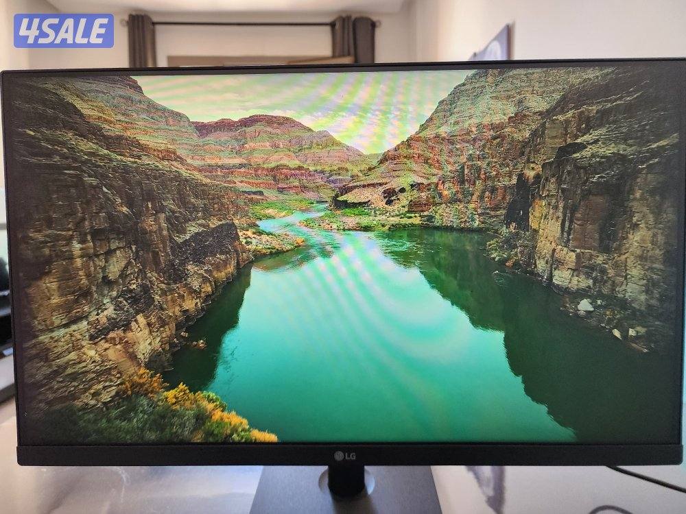 LG 24inch Screen2