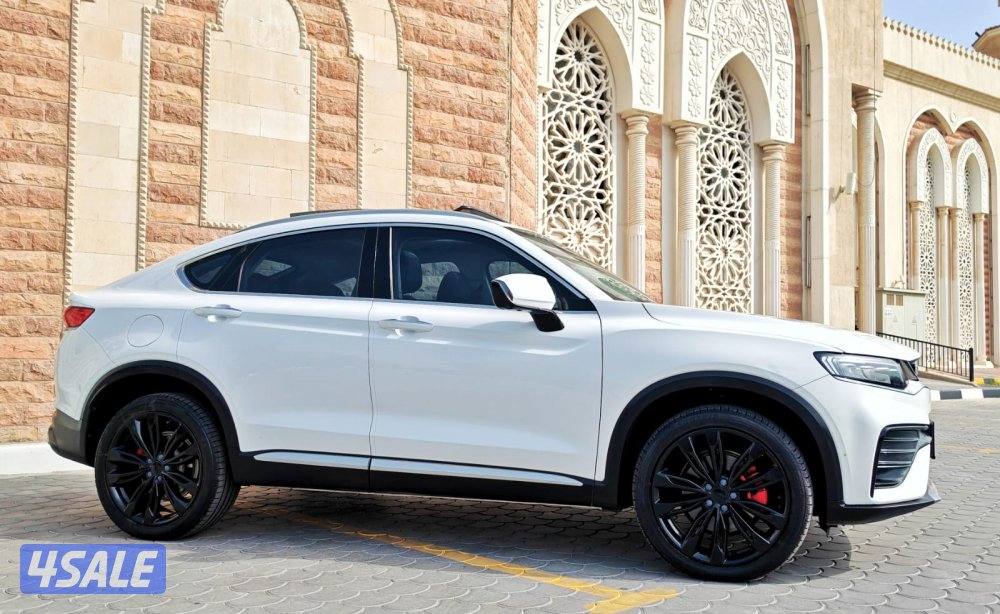 توحيلا - 20224