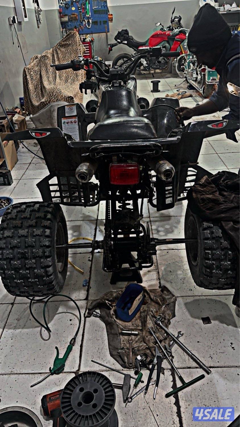 بانشي 2004 لمتد5