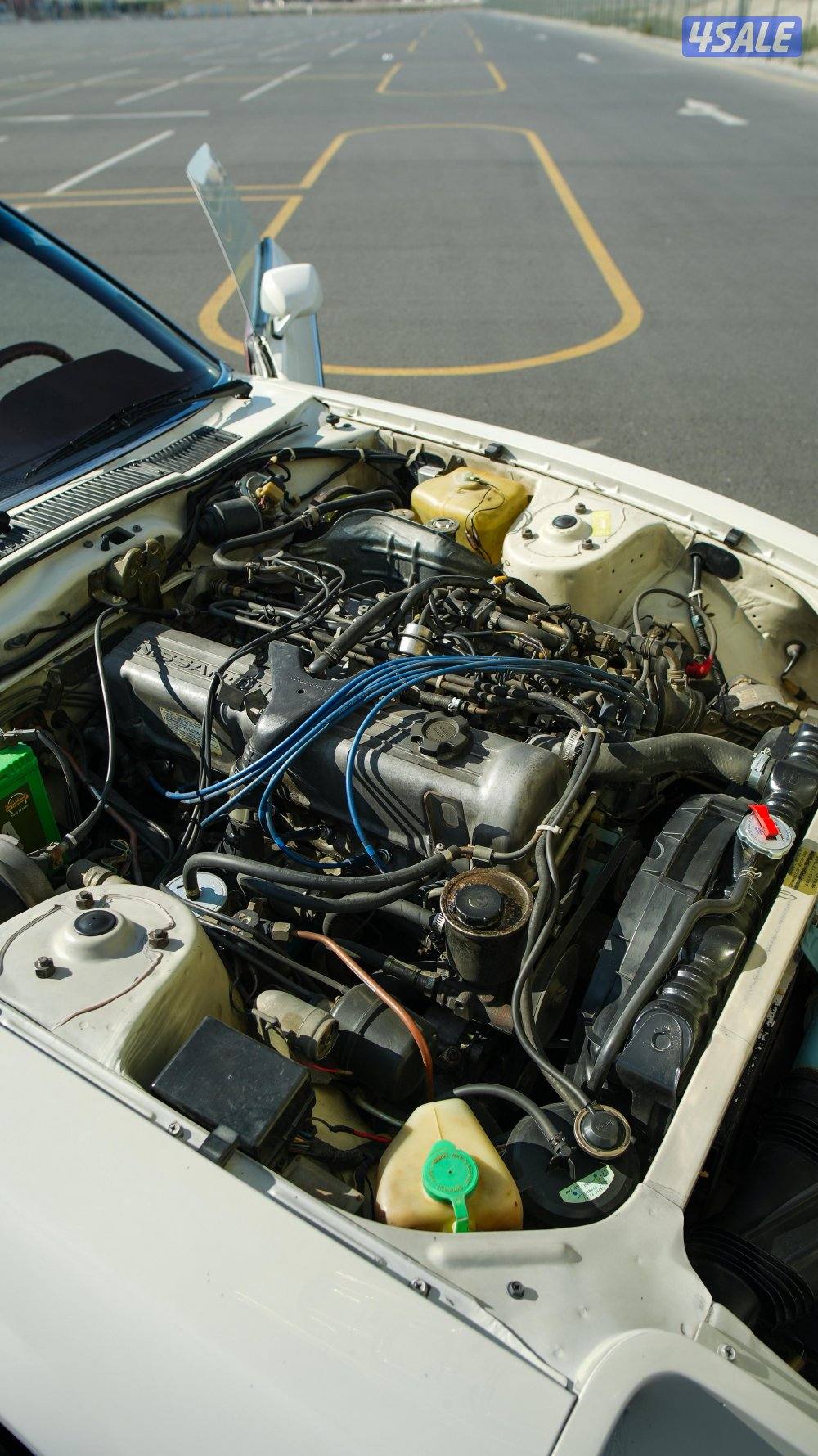 زد فورسيت مديل 8115