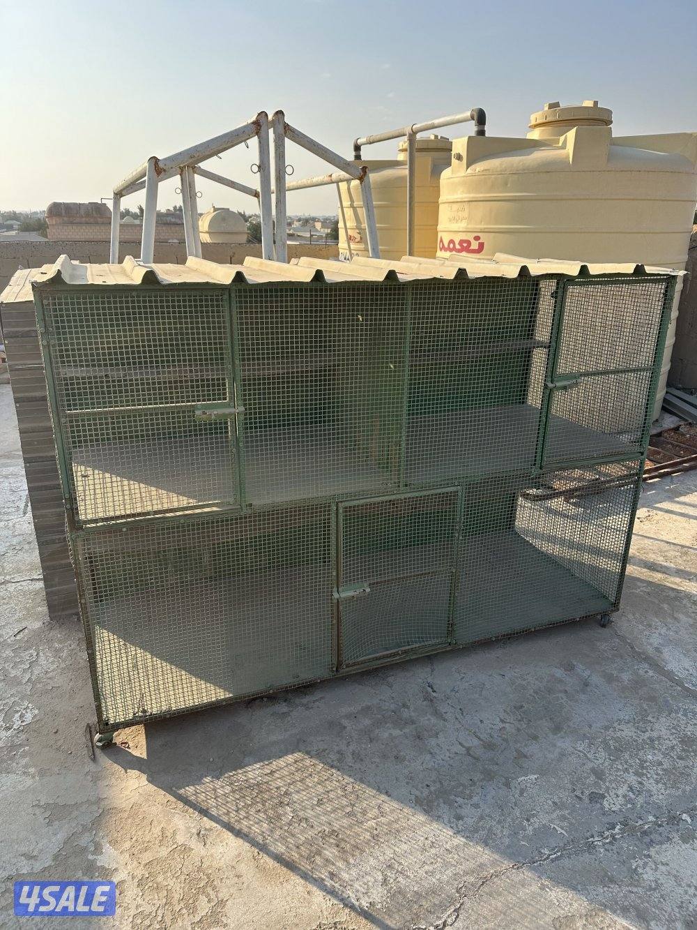 دجاج هزاز + حمام لاحم + اقفاص6