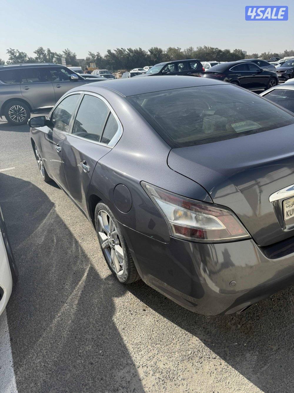 مكسيما ٢٠١٢ ماشية ٢١٠ الف3