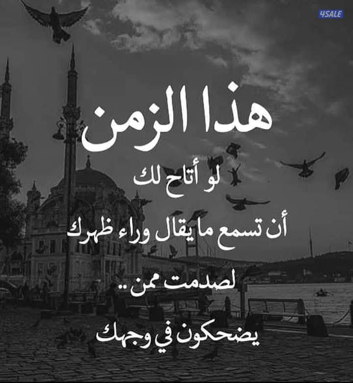 اثاث ومفروشات8