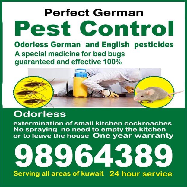 عبدالله / مشترك بحث0