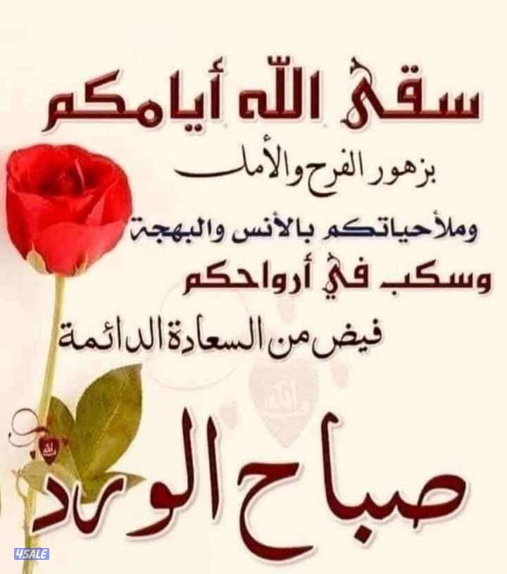 للايجار شقه فى الرقه ثلاث غرف وصاله ومطبخ ٢ حمام0