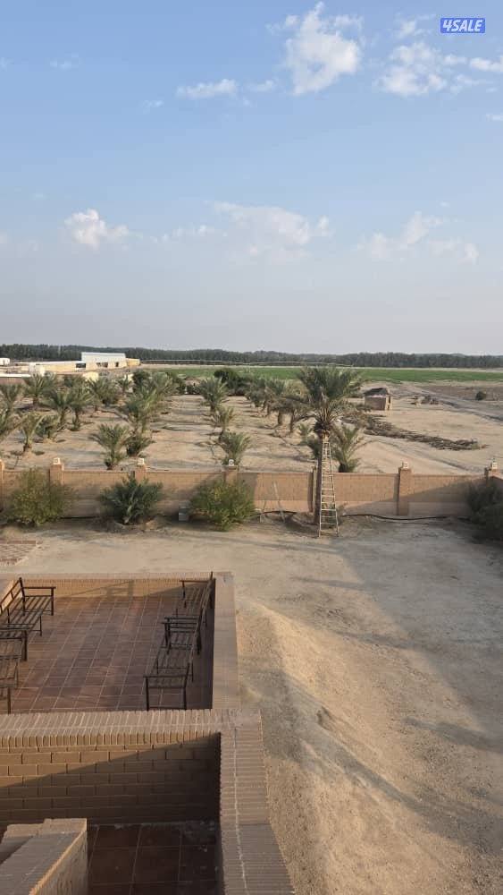 للبيع مزرعه بالعبدلي 92 الف م بطن وظهر بها فيلا ومزروعه كامله2