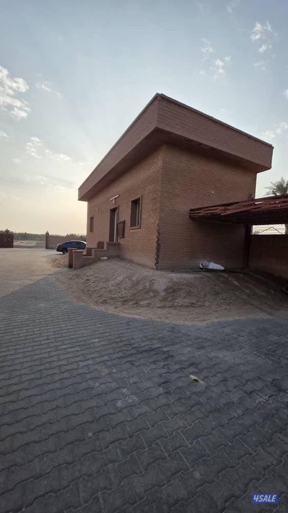 للبيع مزرعه بالعبدلي 92 الف م بطن وظهر بها فيلا ومزروعه كامله4