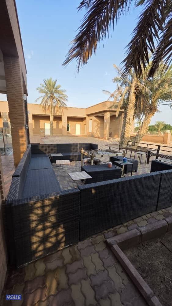 للبيع مزرعه بالعبدلي 92 الف م بطن وظهر بها فيلا ومزروعه كامله3