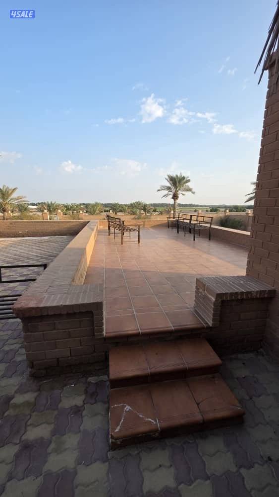 للبيع مزرعه بالعبدلي 92 الف م بطن وظهر بها فيلا ومزروعه كامله5