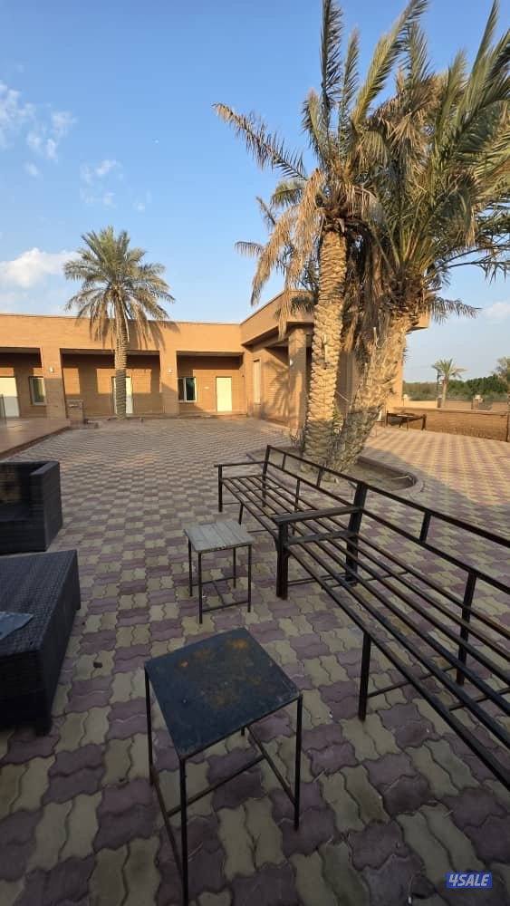 للبيع مزرعه بالعبدلي 92 الف م بطن وظهر بها فيلا ومزروعه كامله7