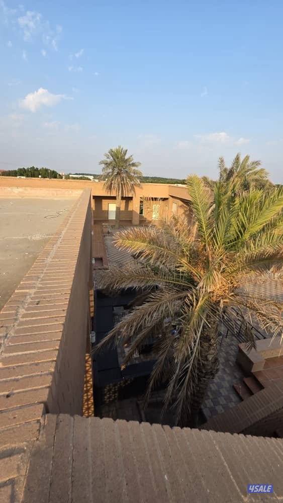 للبيع مزرعه بالعبدلي 92 الف م بطن وظهر بها فيلا ومزروعه كامله12