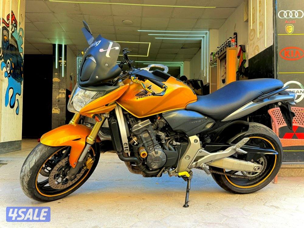 الاسكندريه3