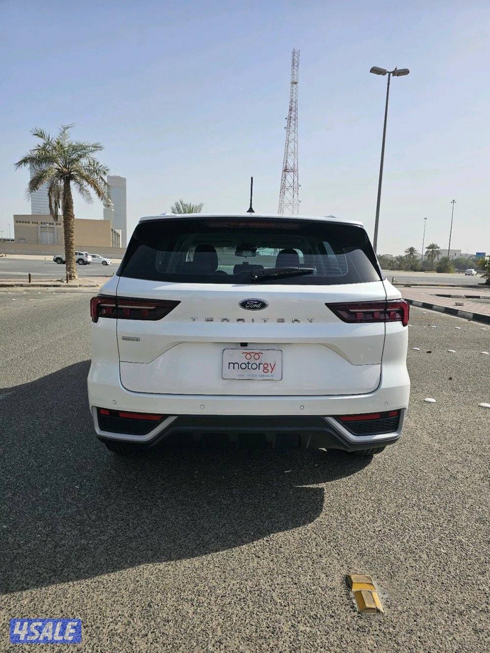 فورد تيريتوري 20236