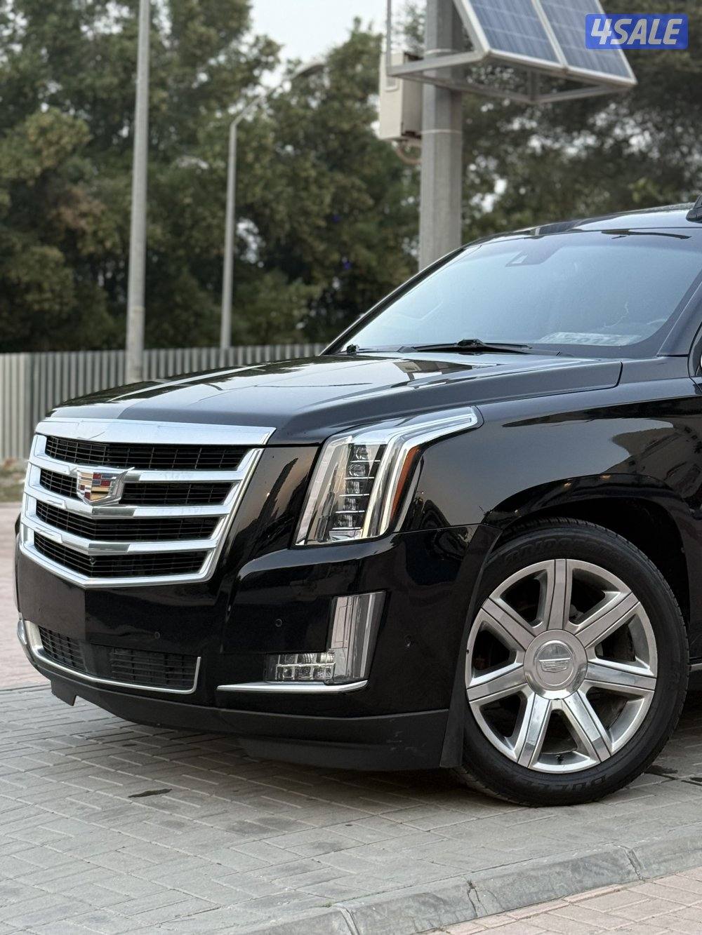 🔺كاديلاك اسكاليد بريميوم 2019 الدرجه الاولي 🔺1