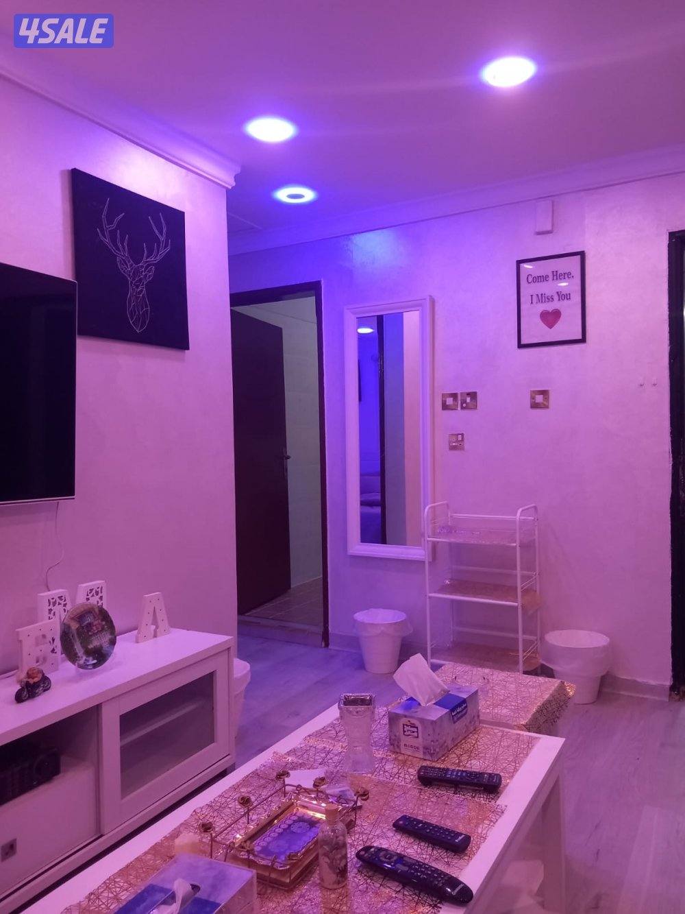 يوجد لدينا شقق الايجار خلو وفاضي غرفة وصالة ومطبخ وحمام تشطيب الكوتين13