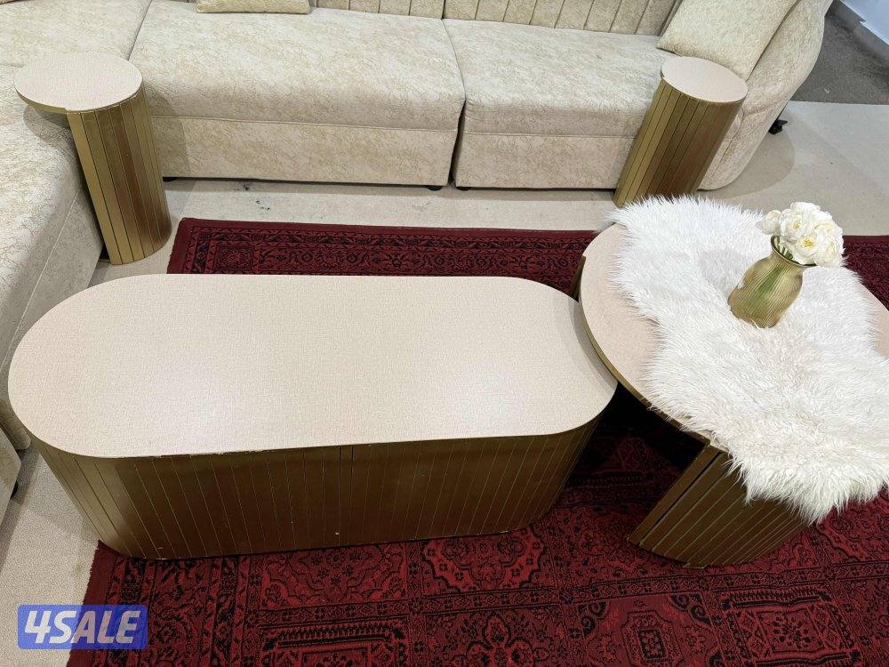 بيعة سريعة قنفات2