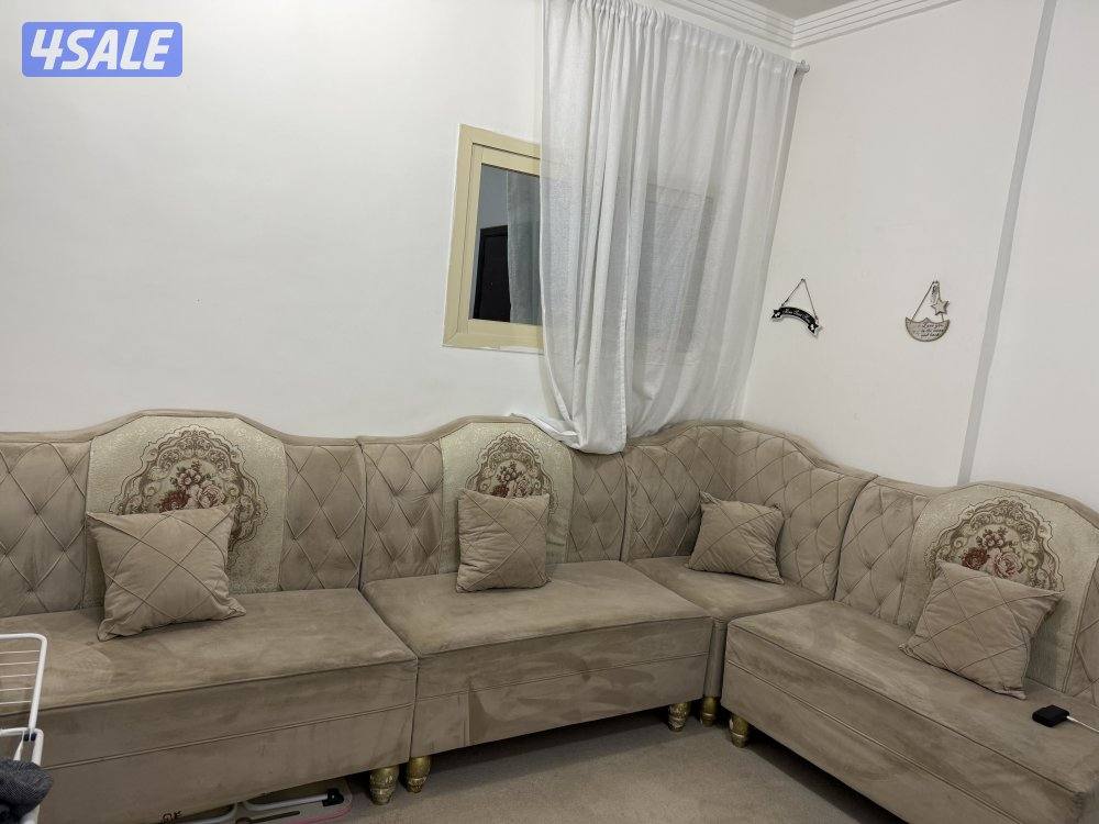 بيعة سريعة قنفات4