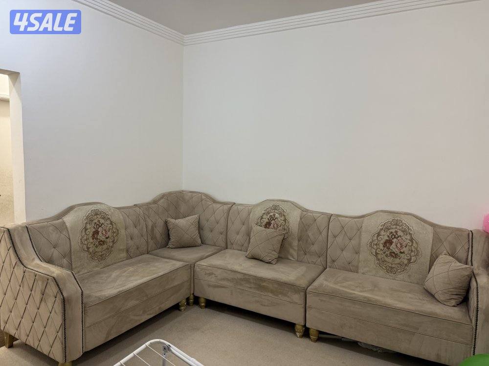 بيعة سريعة قنفات5