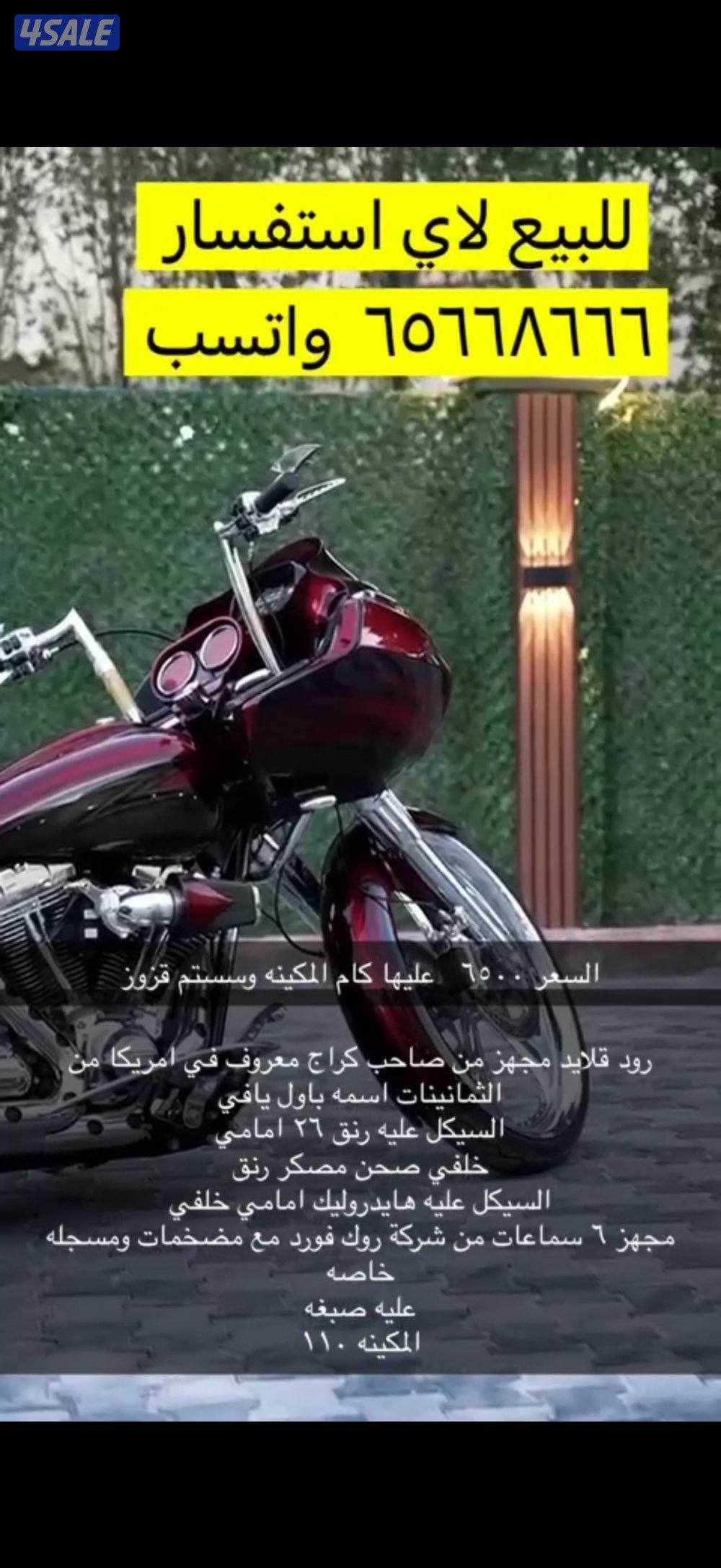 هالي من النوادر العالم0