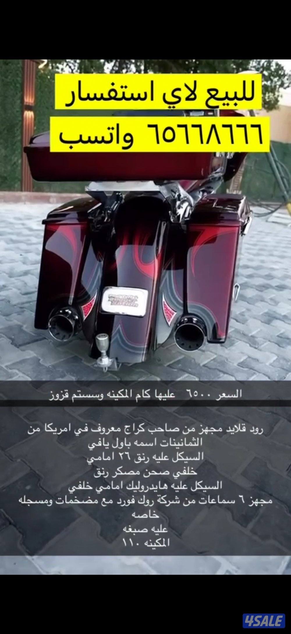 هالي من النوادر العالم1