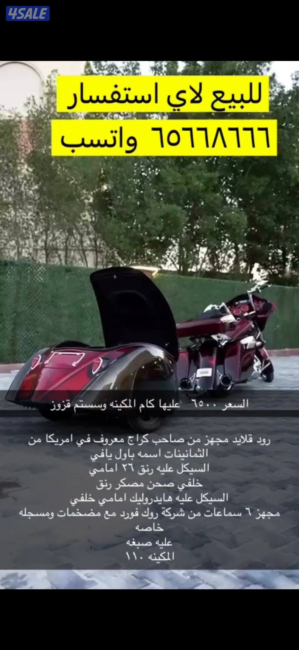 هالي من النوادر العالم2