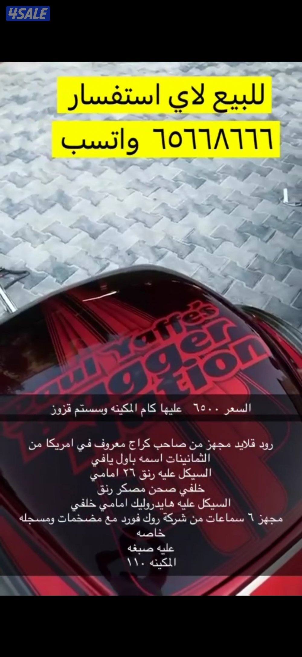 هالي من النوادر العالم3