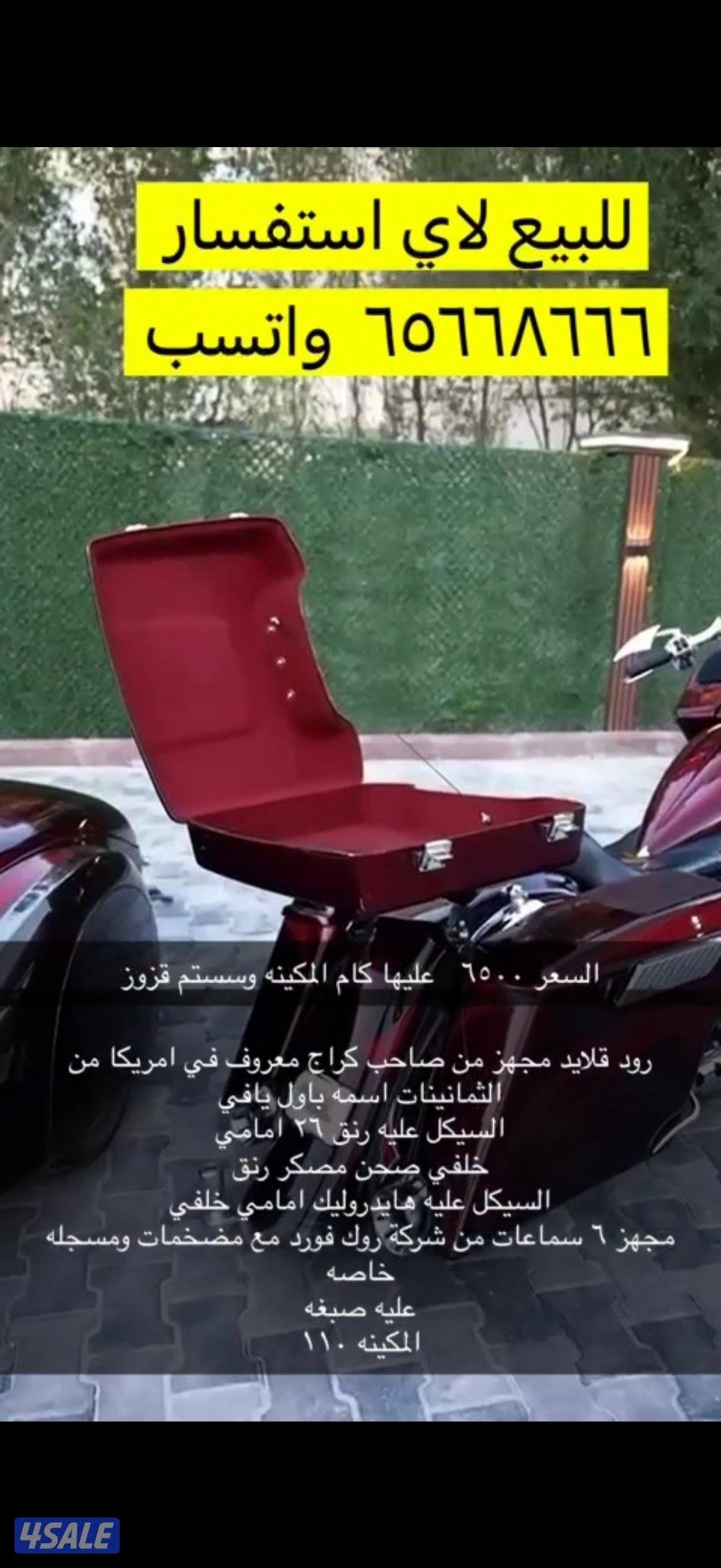 هالي من النوادر العالم4