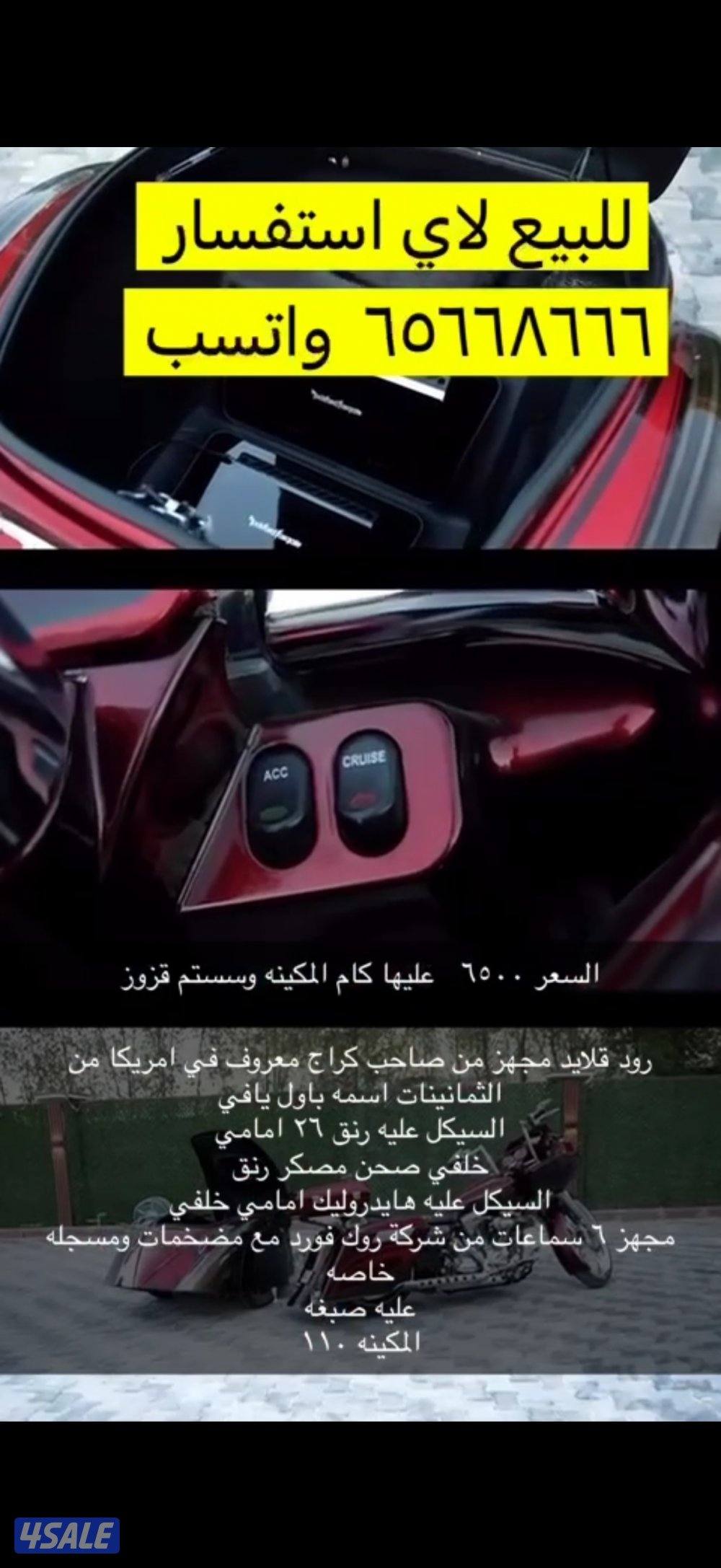 هالي من النوادر العالم8