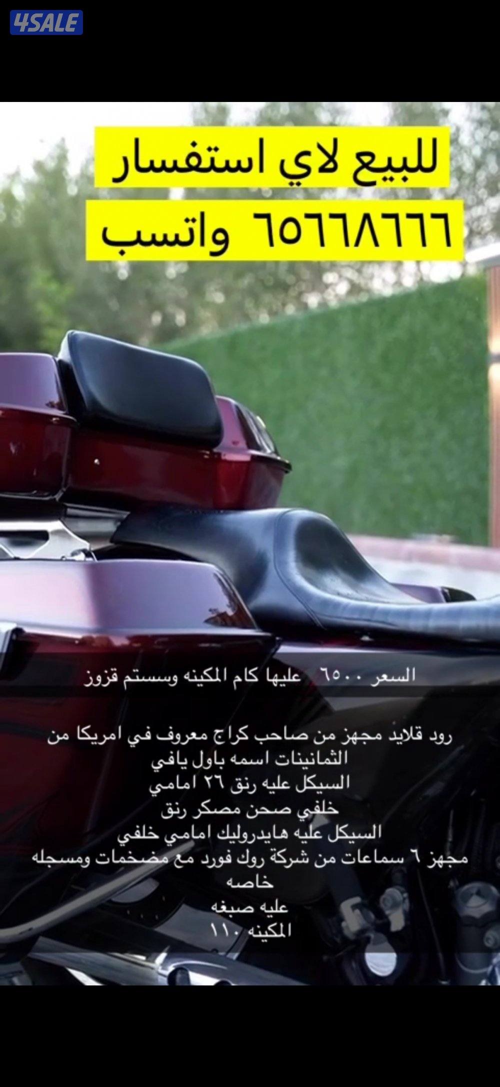 هالي من النوادر العالم10