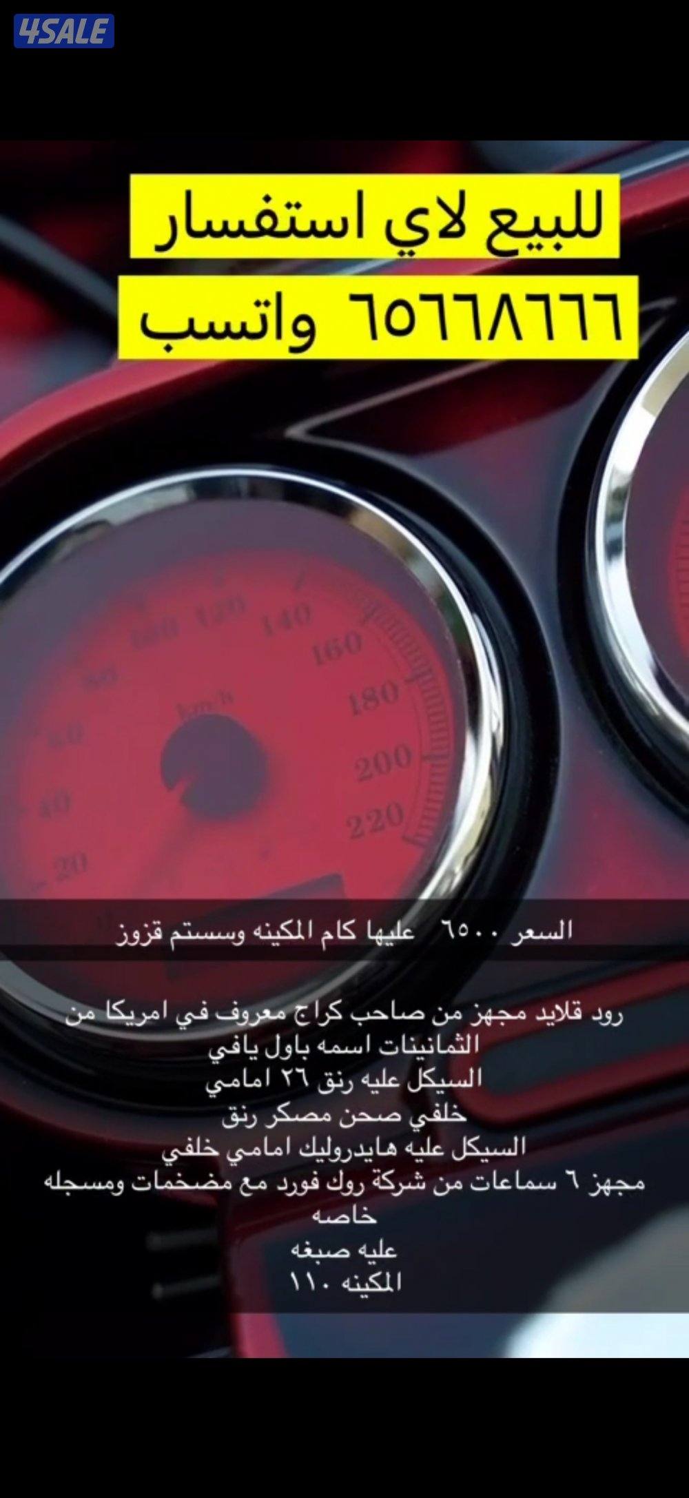 هالي من النوادر العالم11