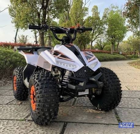 تاجير مخيم و بوني و خيول و بقيات1