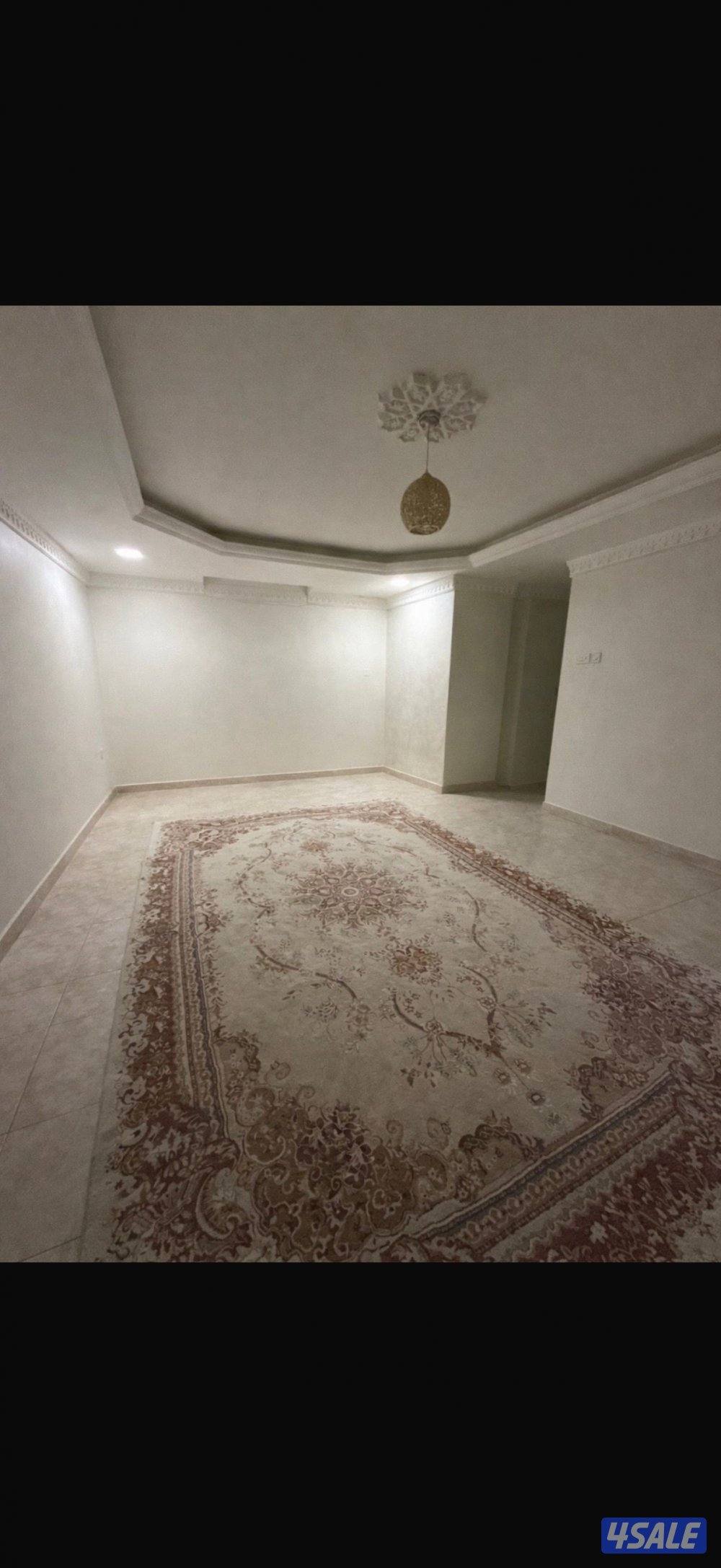 للبيع سجاد وإدراج1