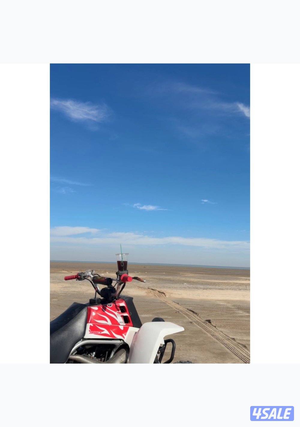 للبيع بانشي 20091