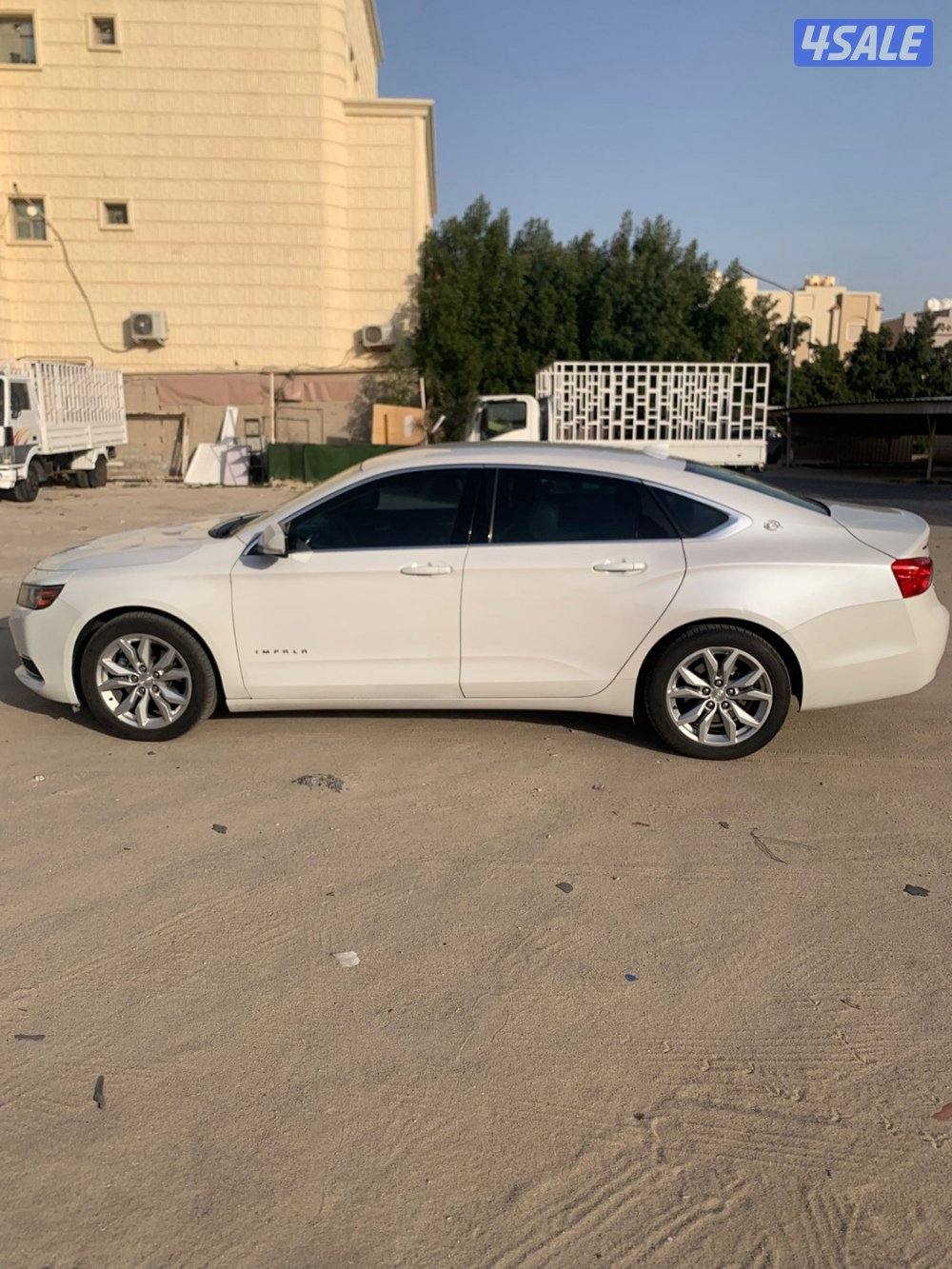 الليييع شغر الغانم موديل 2017 ابيضّ من  جلد LT ماشي 1902