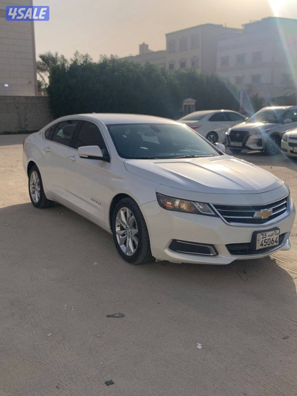 الليييع شغر الغانم موديل 2017 ابيضّ من  جلد LT ماشي 1904