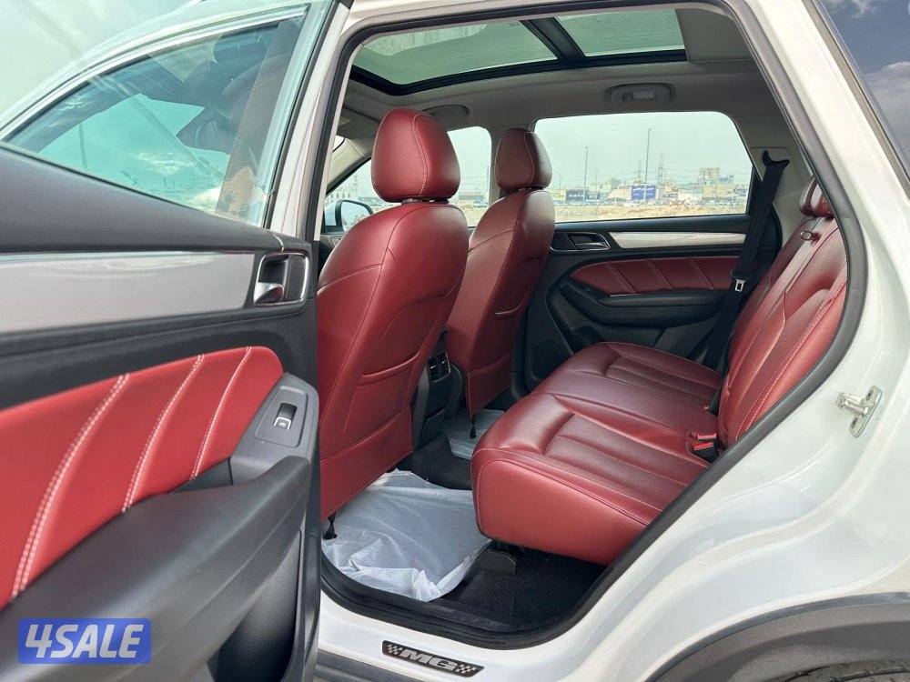 MG RX5 موديل ٢٠١٩ صبغ وكالة8